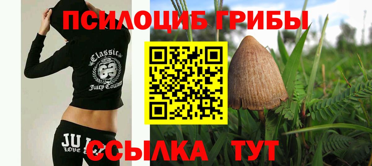 Псилоцибиновые грибы мицелий  Вход с VPN  Псилоцибиновые грибы MAGIC MUSHROOMS  Каспийск 
